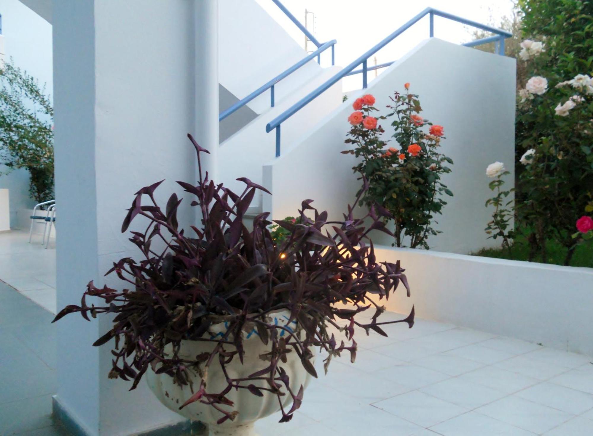 Dimitra Apartment Hotel Skafidia Luaran gambar