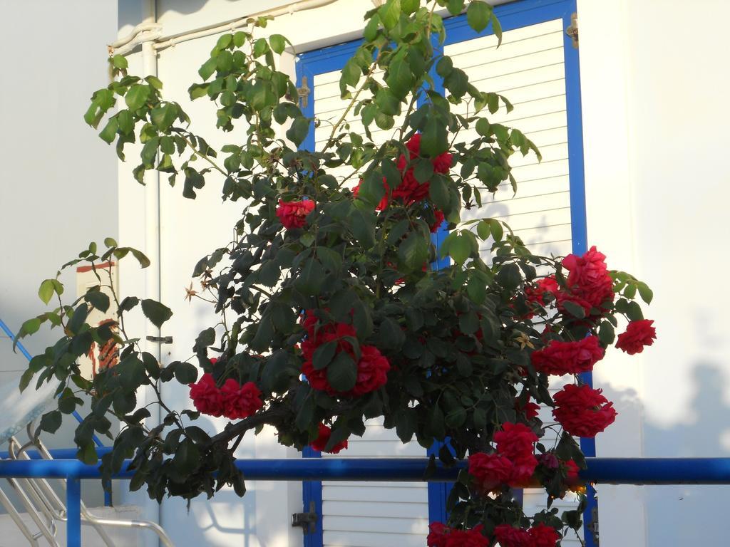 Dimitra Apartment Hotel Skafidia Luaran gambar